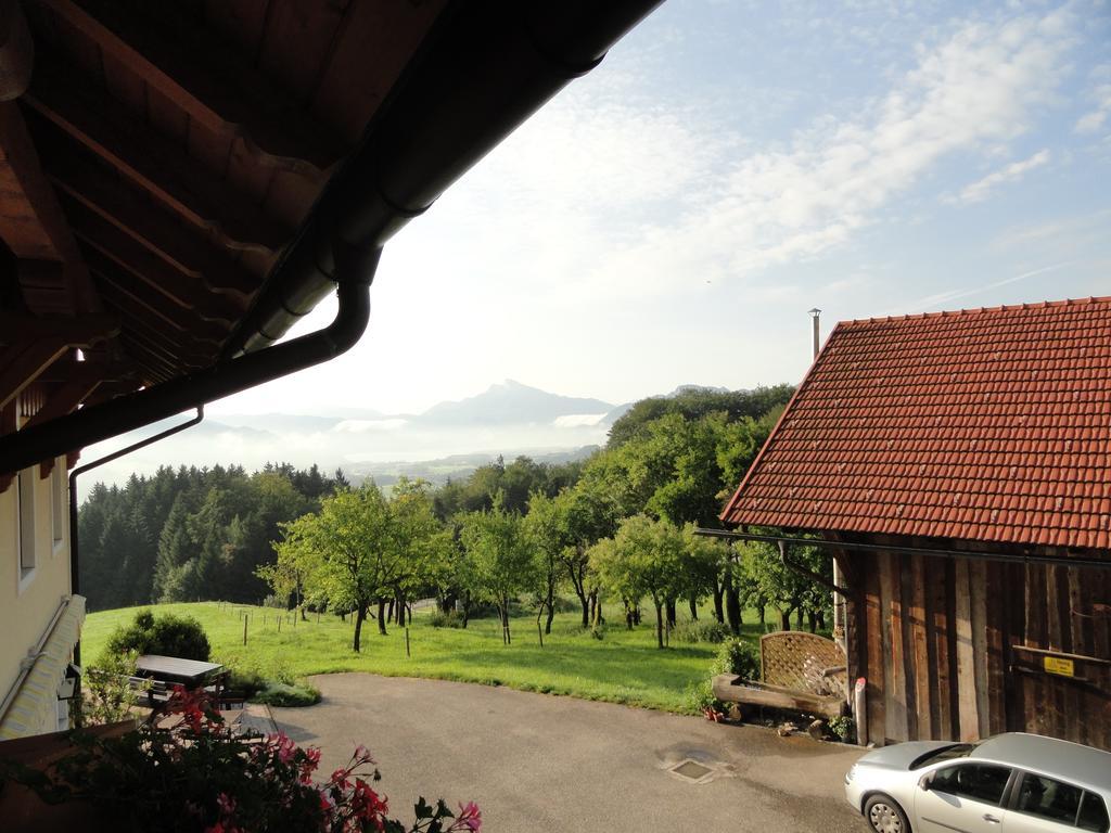 Готель Hochsernerhof Tiefgraben Номер фото